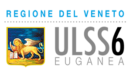 ulss 6